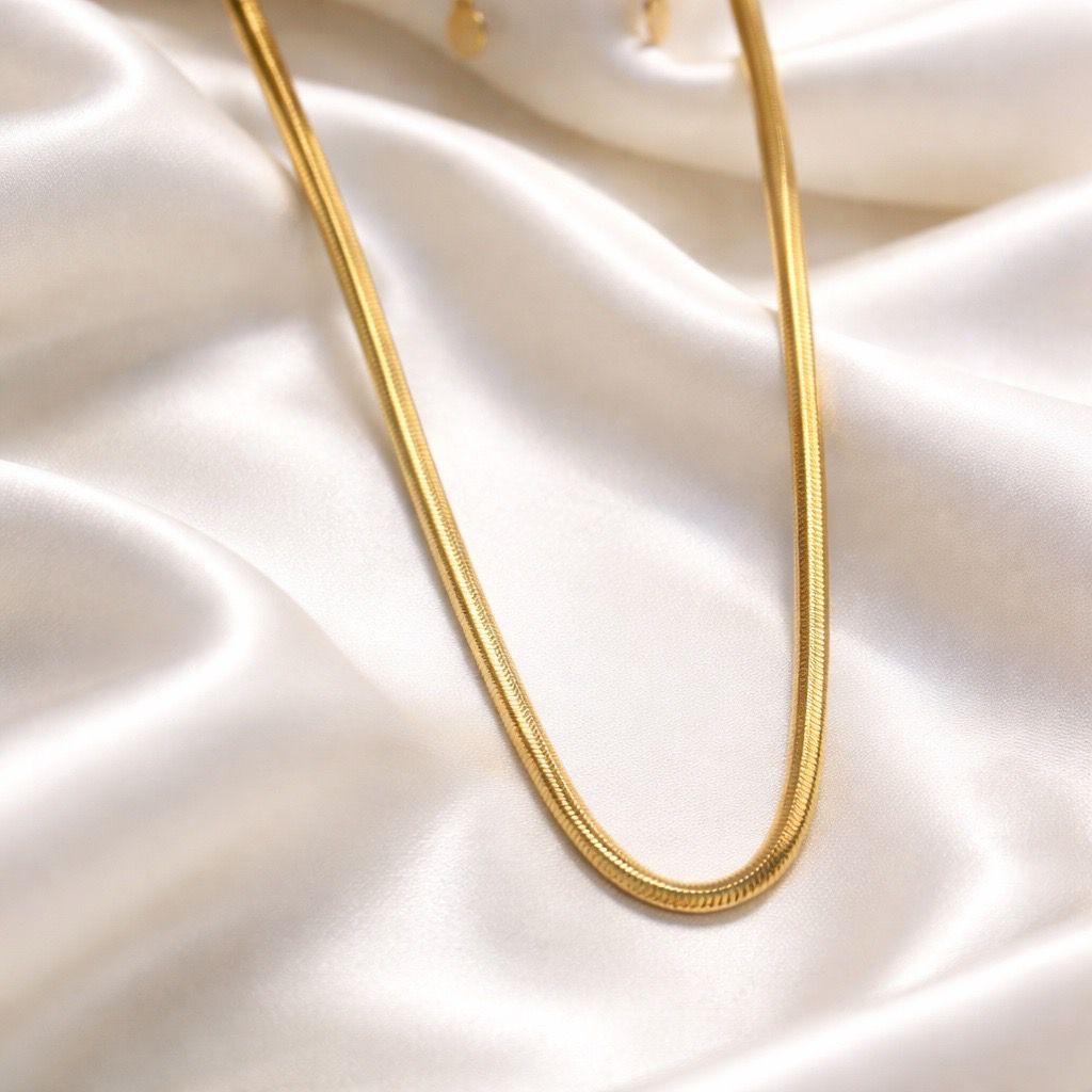 S. Steel Visgraat Ketting